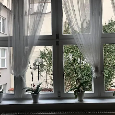 Apartmán Cozy In The Centre