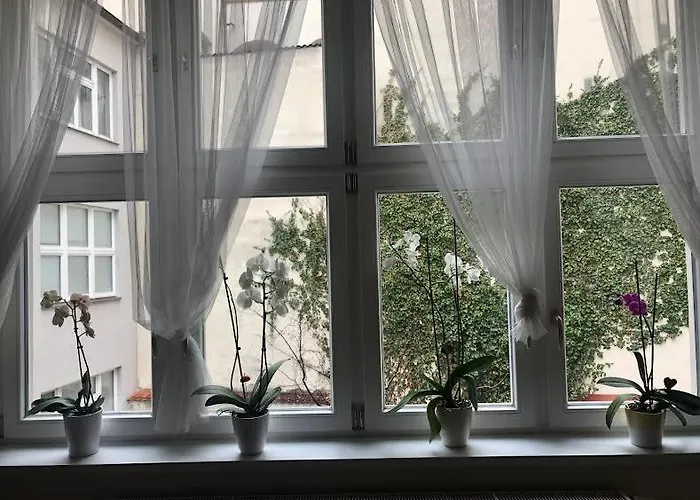 Lejlighed Cozy In The Centre